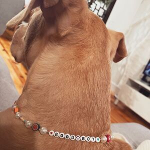 NWT Wool + Pepper Co. Good Boy Dog Necklace